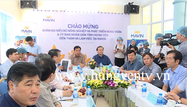 Thư viện video
