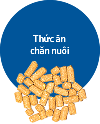 Thức ăn chăn nuôi