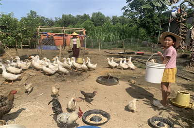 Hợp tác World Vision - Mavin: Giúp người dân đổi đời từ đàn vịt