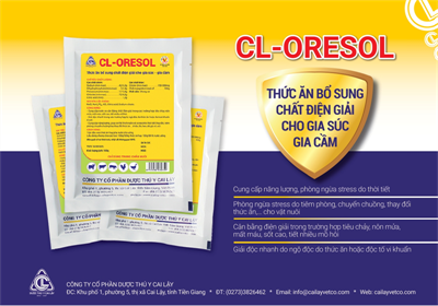 Quản lý thân nhiệt cho heo con vào mùa đông
