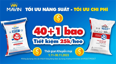 Mavin đồng hành cùng nhà chăn nuôi nâng cao năng suất, tối ưu chi phí