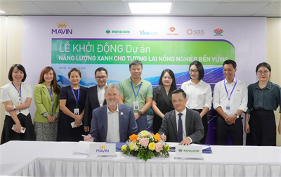 Mavin khởi động Dự án Năng lượng Mặt trời: Dấu ấn chuyển đổi xanh mới