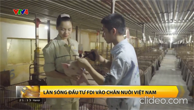 Phóng sự VTV4: Làn sóng đầu tư FDI vào chăn nuôi Việt Nam