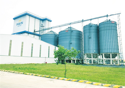 Mavin triển khai Dự án số hóa dữ liệu nhà cung cấp