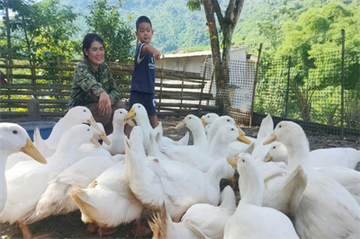 Gieo sinh kế bền vững – Điểm tựa để phụ nữ nghèo vươn lên