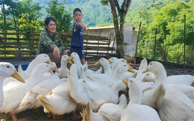 Gieo sinh kế bền vững, điểm tựa để phụ nữ nghèo vươn lên