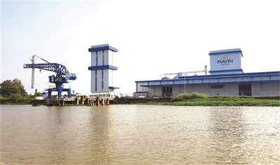 Mavin Đồng Tháp: Top 22 Doanh Nghiệp thực hiện nghĩa vụ thuế
