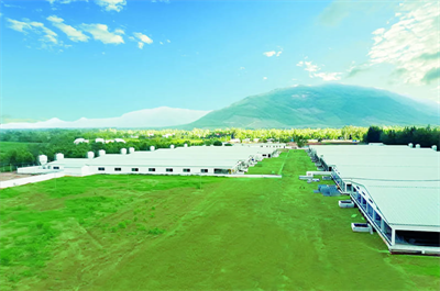 Mavin Group tiên phong ESG, hướng tới nền nông nghiệp xanh bền vững