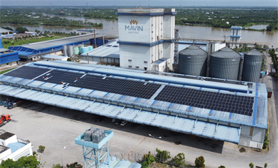 Doanh nghiệp Đồng Tháp góp phần “sản xuất xanh” thông qua điện mặt trời