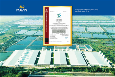 Mavin My Long High-Tech Pig Farm Achieves Global S.L.P Certification