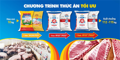 Mavin Feed khuyến mại nhân kỷ niệm 19 năm thành lập Tập đoàn